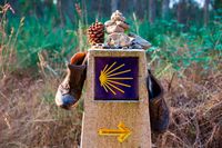 camino_1